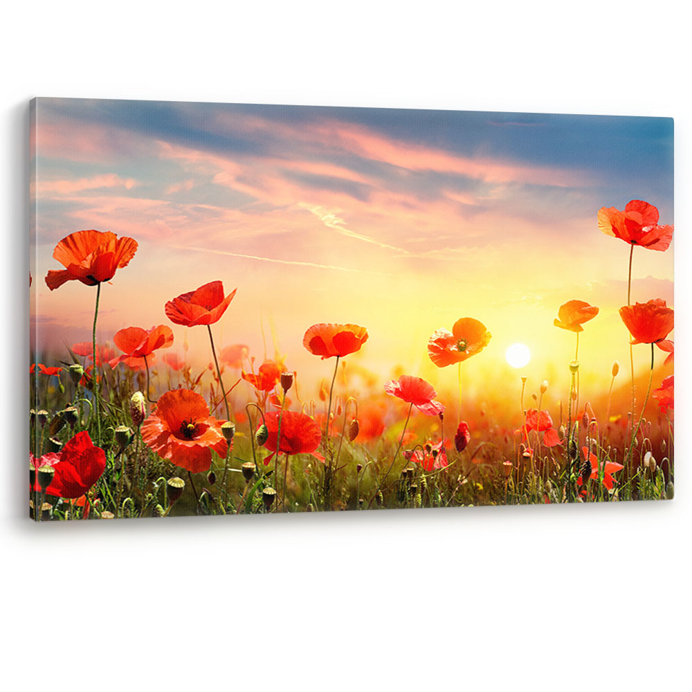 Red Poppies in Field at Sunset Flowers Large Canvas Wall Art Picture