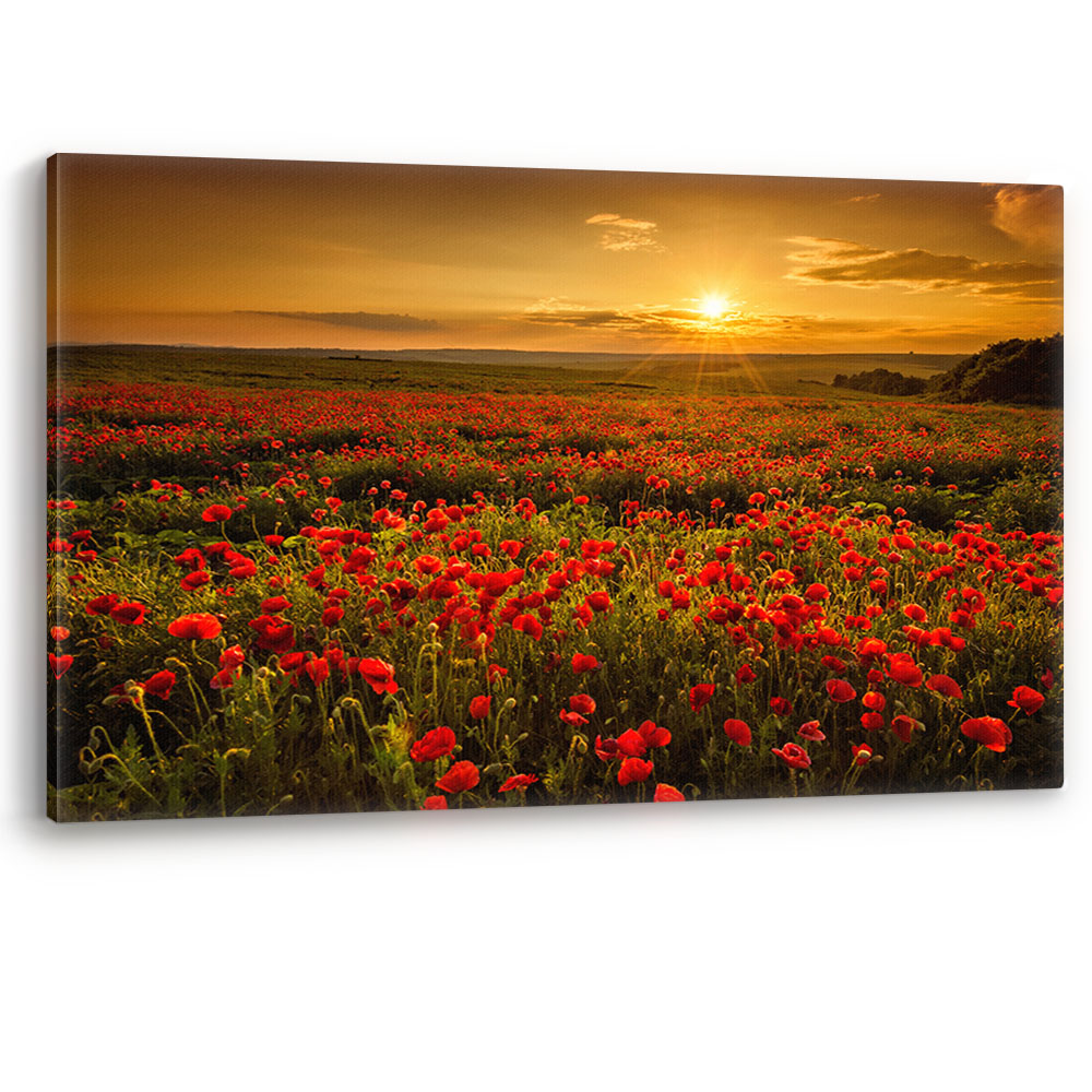 Red Poppy Field at Sunset Flowers Large Canvas Wall Art Picture Print